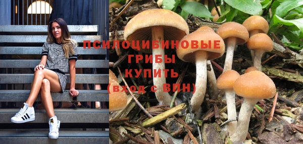 мяу мяу кристалл Саяногорск
