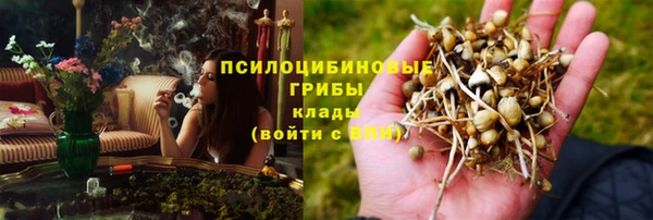 МДПВ Горно-Алтайск
